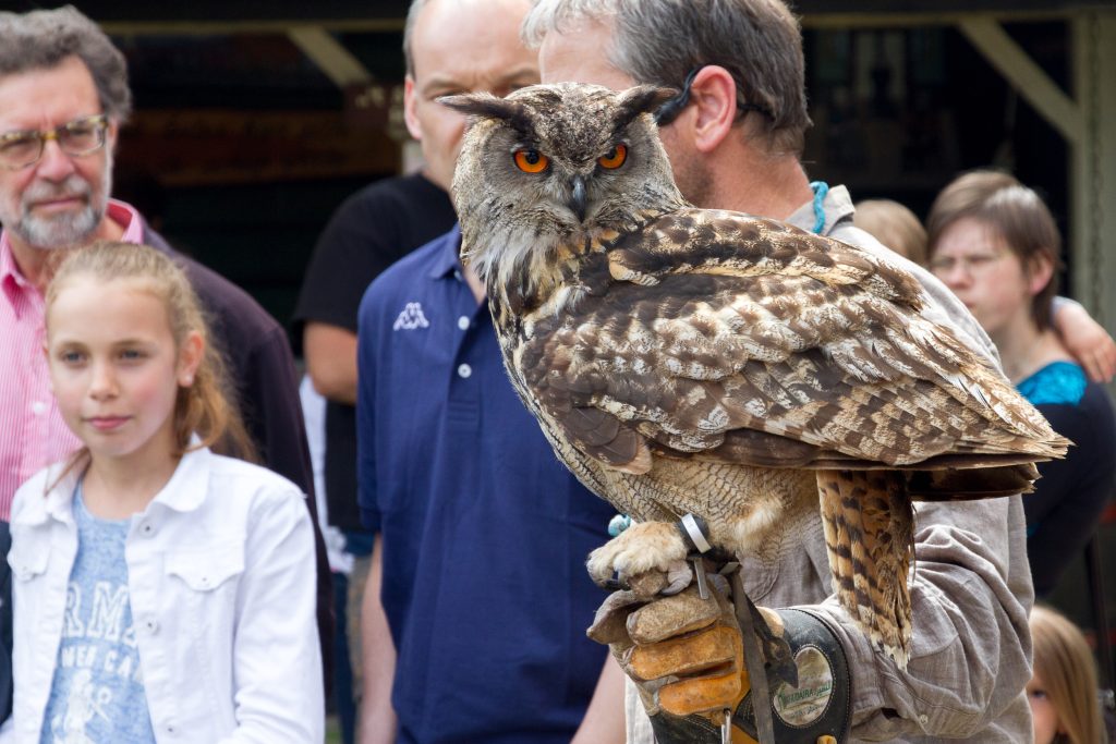 Vogelshow in het Boerenbondsmuseum