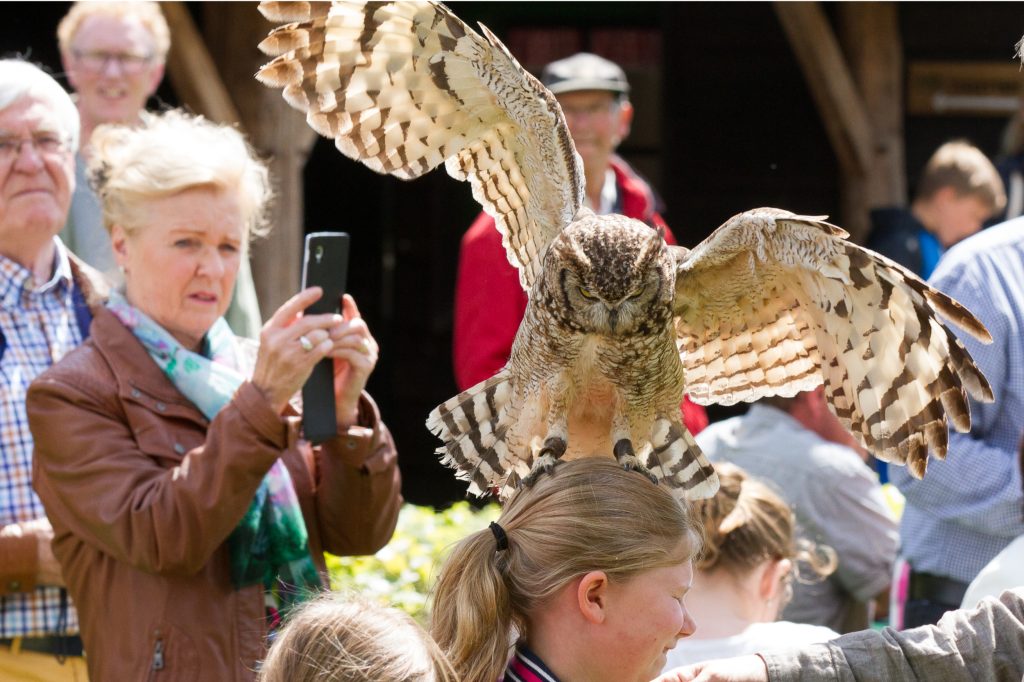 vogelshow in het boerenbondsmuseum