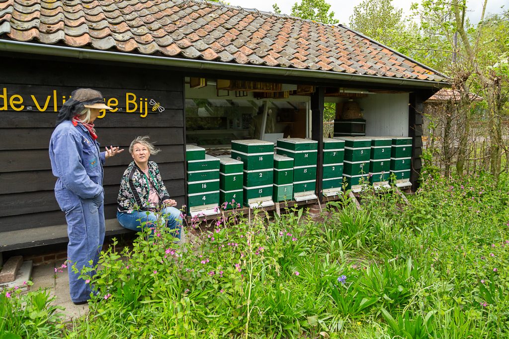 bijenhal bij het boerenbondsmuseum in gemert