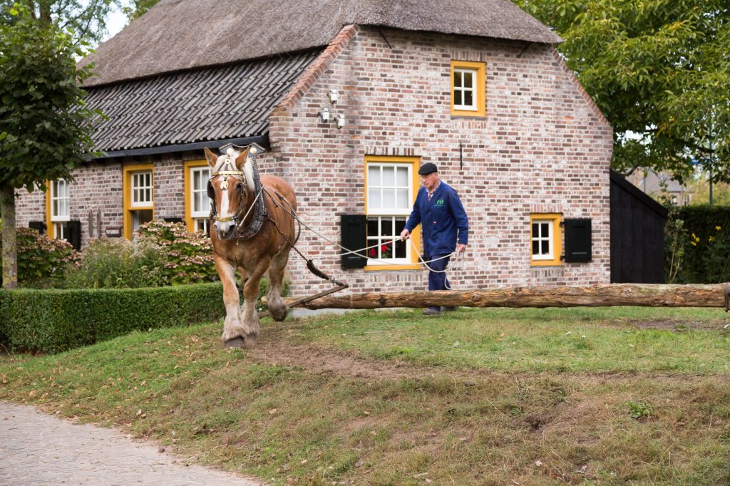 Paard op de dorsberg van het boerenbondsmuseum