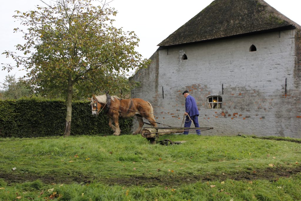 Dorsberg bij het Boerenbondsmuseum